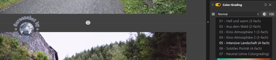 Color-Grading Vorgaben