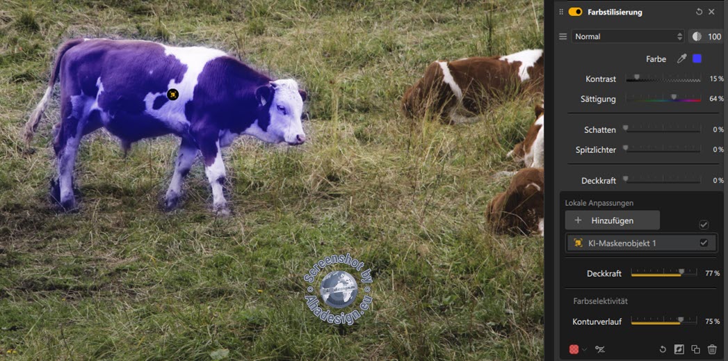 KI-Objektauswahl - Konturverlauf