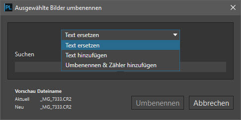 ahadesign-tutorial-dxo-photolab4-neuerungen-umbenennen-dialogbox