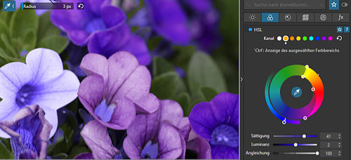 dxo-photolab41-hsl-blumen-umgefaerbt