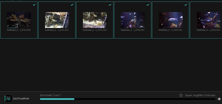 dxo-pureraw-bilder-entwickeln-fortschritt
