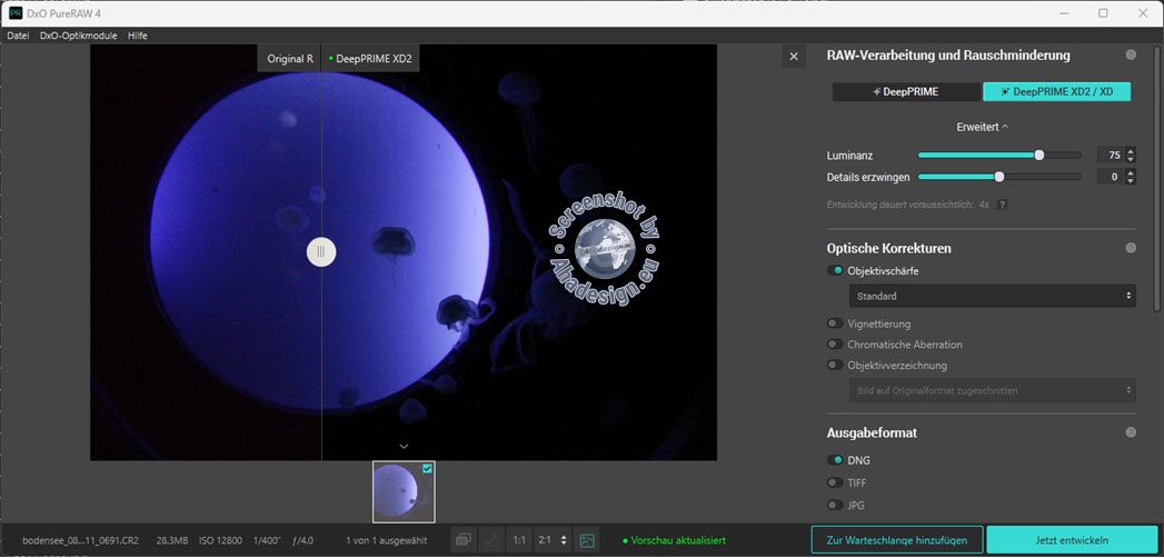 DxO PureRAW - Standard Vorschau