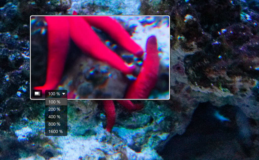 PhotoLab 9 - Lupe PhotoLab 9 - Lupe