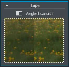 easyfoto-lupe