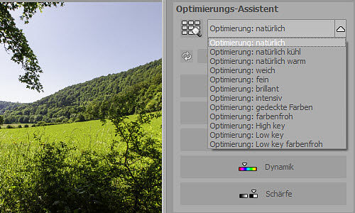 emotionprojectspro-optimierungsassistent