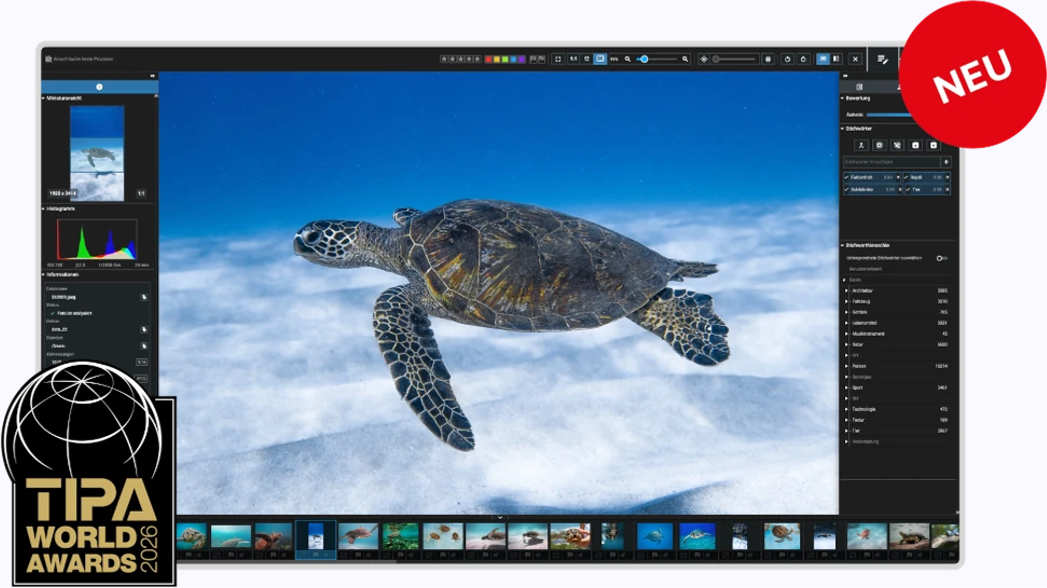 Mehrfache Auszeichnungen für Excire Software Mehrfache Auszeichnungen für Excire Software