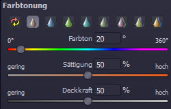 focus-projects3-professional-farbtonung