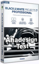 black-white-projects-7-professional-test