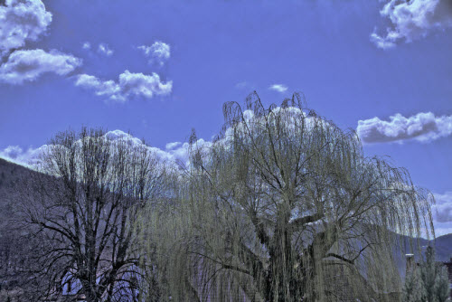 hdr-projects-3-baum-himmel-ergebnis