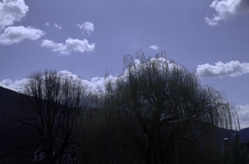 hdr-projects-3-baum-himmel-masterbild