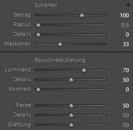 hdr-projects-4-prof-lightroom-schaerfen-rauschen