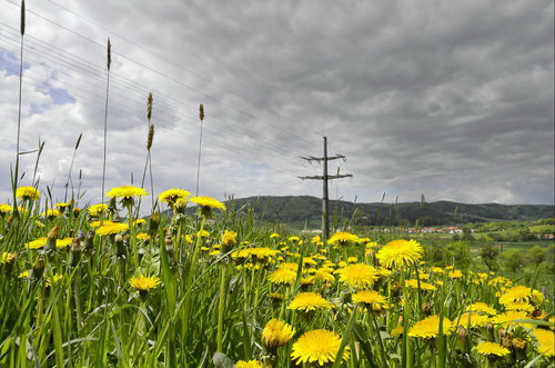 hdr-projects-4-prof-wiese-landschaft-konturen