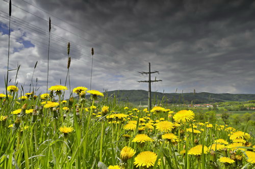 hdr-projects-4-prof-wiese-nd-verlaufsfilter