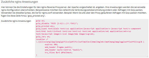 komprimierung-plesk-nginx-zusatz-einstellungen