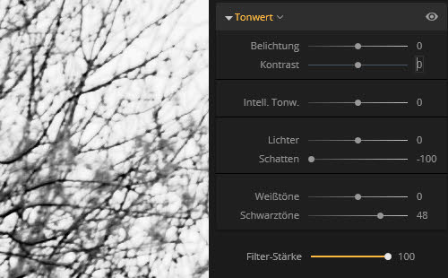 luminar2018-tonwert-filter