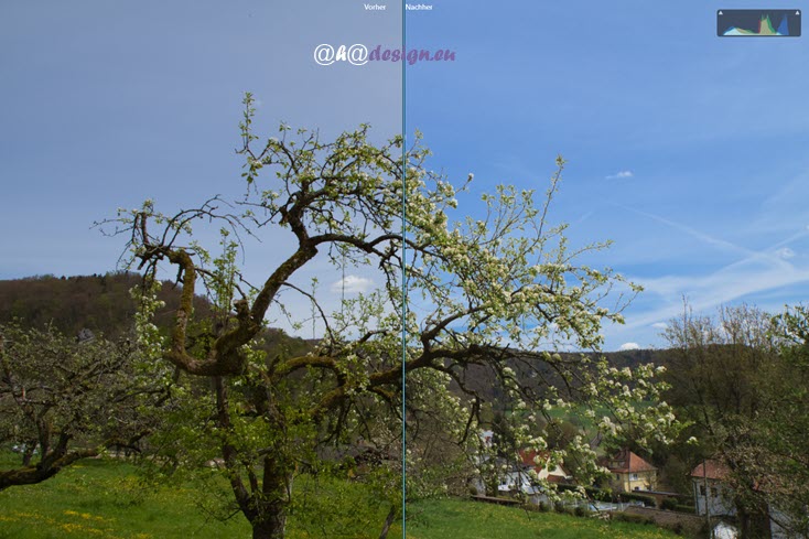 luminarai-belichtung-landscape-profil