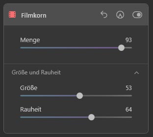 luminar-ai-update2-filmkorn-werkzeug