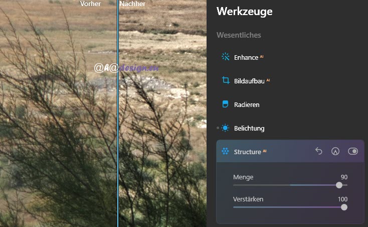 luminar-ai-structure-verstaerken-hoch-gezoomt