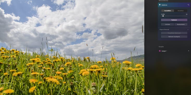 luminar-neo-sonnenblumenfeld-leitungen-entfernt