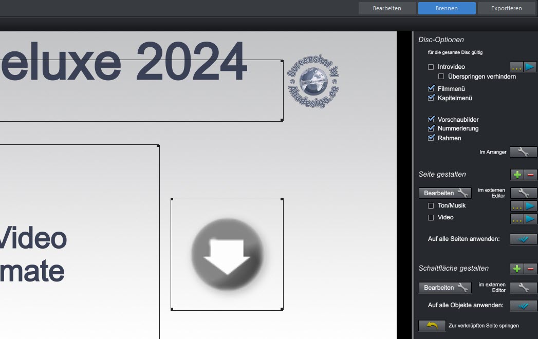 Magix Video Deluxe 2024 - Disc-Optionen