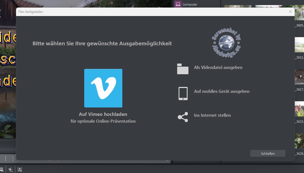 Magix Video Deluxe 2024 - Exportieren