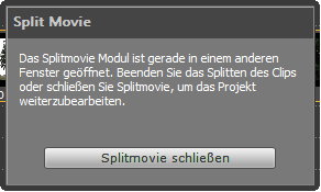 movavi-video-suite-splitmovie-fehler