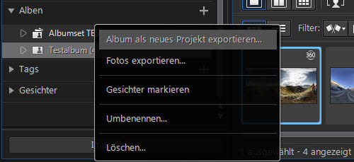 photodirector9-albenoptionen