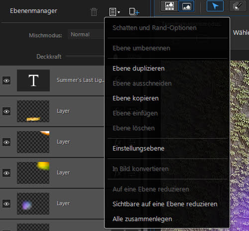 photodirector9-ebenenoptionen