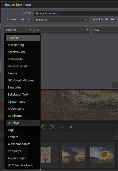 photodirector9-smartsammlung-filtertyp