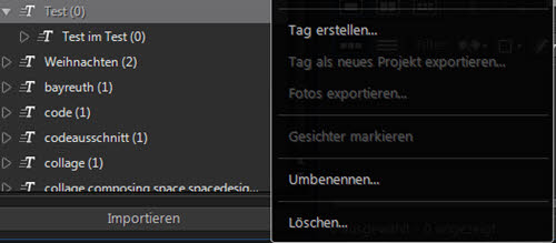 photodirector9-tag-verschachtelt