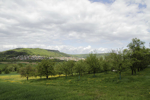 landschaft-rawdatei