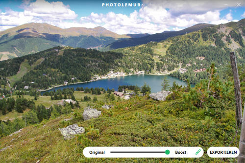 photolemur-bergsee-optimierungsregler