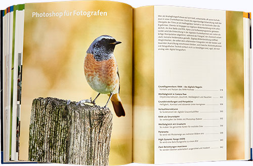 photoshopbuch-waeger2019-kapitel8