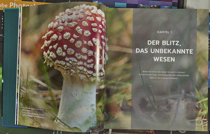 blitzen-workshopbuch-kapitel1