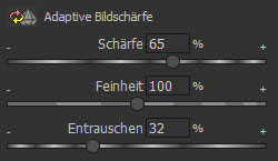 sharpenpro3-adaptive-bildschaerfe