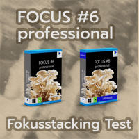 FOCUS #6 professional - Besseres Fokusstacking im Test
