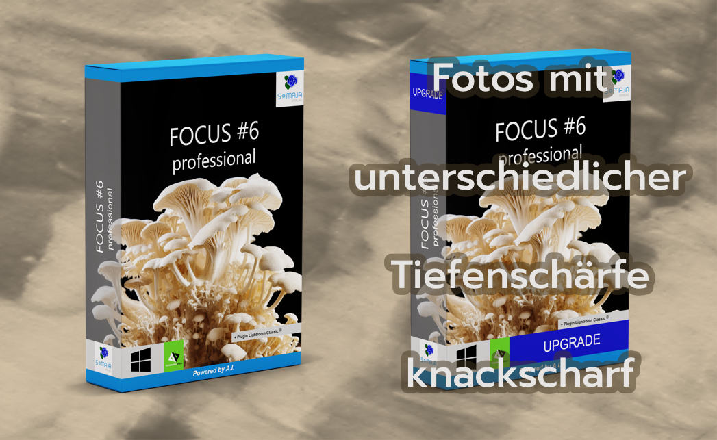 Fotos mit unterschiedlicher Tiefenschärfe knackscharf