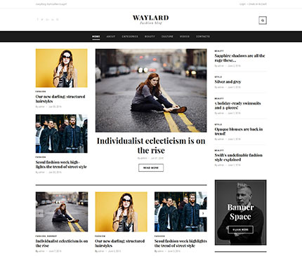 WordPress Theme Waylard