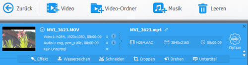 videoproc-optionen