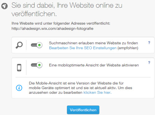 Website veroeffentlichen