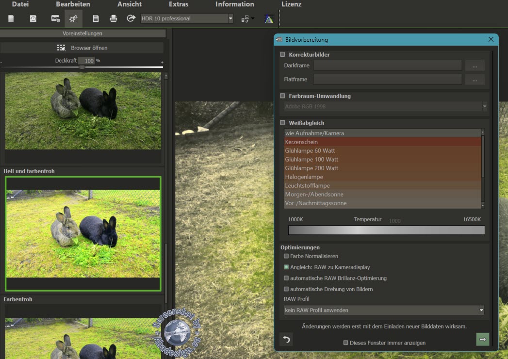 Bildvorbereitung mit Darkframe und Flatframe